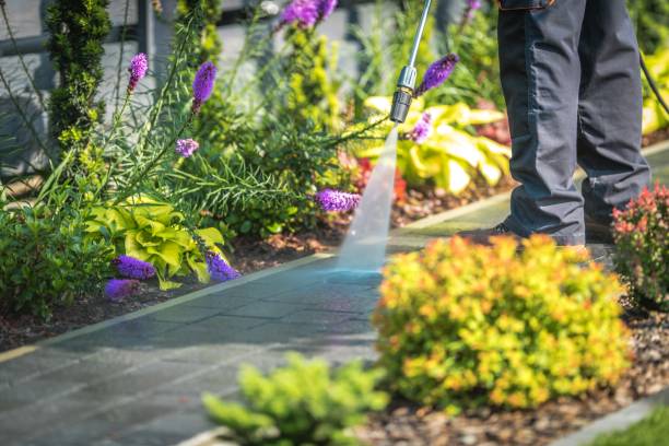 Best Warehouse Cleaning  in Mount Pocono, PA